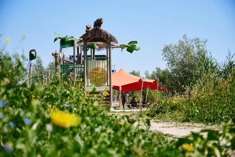 6×10 m